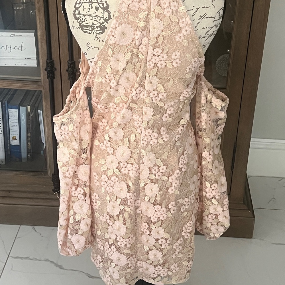 Michael Costello Blush Floral Lace Long Sleeve Dress - Picture 2 of 8